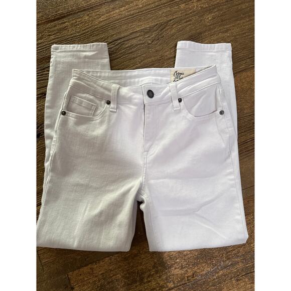 Cosmic Blue Love Milo Side Split Capri Skinny Jeans - Picture 4 of 9